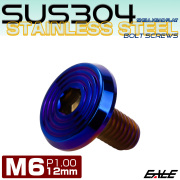 ステンレスボルト M6×12mm P1.0 シェルヘッド フラット 六角穴付 ボタンボルト SUS304 焼きチタンカラー TR0807 【メール便可】