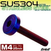 4×25mm P0.7 シェルヘッド フラット ステンレスボルト 六角穴付 マットタイプ SUS304 焼きチタンカラー TR0855 【メール便可】