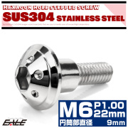 段付きボルト M6×22mm P1.0 円筒部直径9mm ホールヘッド SUS304 ステンレス 六角穴 フランジボルト シルバー TR0874 【メール便可】