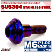 段付きボルト M6×22mm P1.0 円筒部直径9mm スターヘッド SUS304 ステンレス 六角穴 フランジボルト 焼きチタンカラー TR0879 【メール便可】