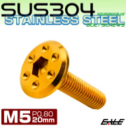 ステンレスボルト M5×20mm P0.8 ホールヘッド フラット 六角穴付 ボタンボルト SUS304 ゴールド TR0959 【メール便可】