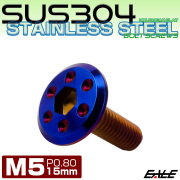 ステンレスボルト M5×15mm P0.8 ホールヘッド フラット 六角穴付 ボタンボルト SUS304 焼きチタンカラー TR0974 【メール便可】