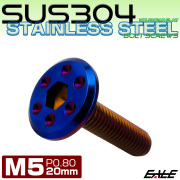 ステンレスボルト M5×20mm P0.8 ホールヘッド フラット 六角穴付 ボタンボルト SUS304 焼きチタンカラー TR0975 【メール便可】