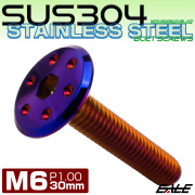 ステンレスボルト M6×30mm P1.0 ホールヘッド フラット 六角穴付 ボタンボルト SUS304 焼きチタンカラー TR0982 【メール便可】