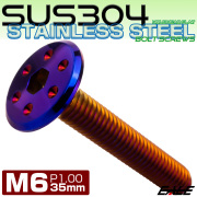 ステンレスボルト M6×35mm P1.0 ホールヘッド フラット 六角穴付 ボタンボルト SUS304 焼きチタンカラー TR0983 【メール便可】