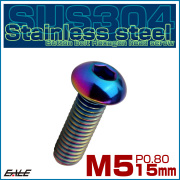 ボタンボルト M5×15mm P0.8 SUS304 ステンレスボルト 六角穴 レインボー TR1226 【メール便可】