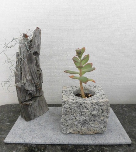 花器　T