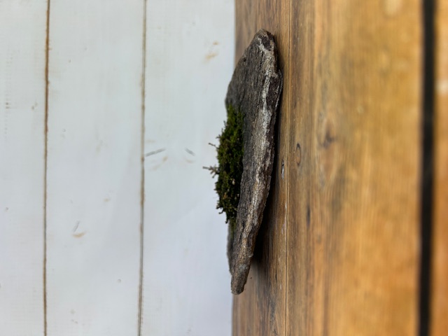 庵治石　花器6へ