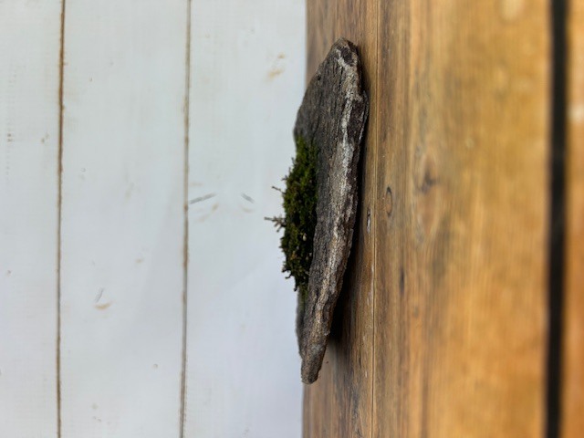 庵治石　花器6へ