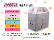 小分け用袋　箱5入り０１
