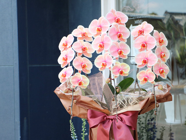 27輪のあさひエレガンス［３本立ち］松浦園芸【送料無料】東京・大阪即日発送可能・法人ギフト対応｜就任・開店・開院のお祝い・誕生日・長寿祝いなどの贈り物におすすめのフラワーギフト