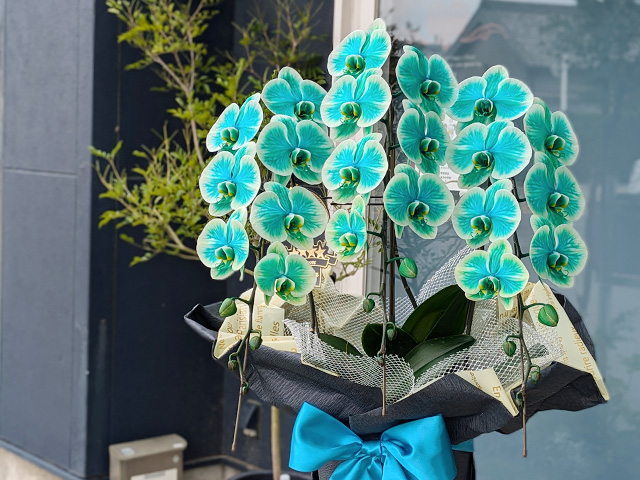 27輪のミランジェエレガンス［３本立ち］松浦園芸【送料無料】東京・大阪即日発送可能・法人ギフト対応｜就任・開店・開院のお祝い・誕生日・長寿祝いなどの贈り物におすすめのフラワーギフト