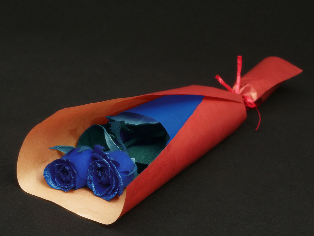 ２本の青い煌薔薇の花束〜きらきら輝くバラの宝石（花言葉カード付き） 【プロポーズ・誕生日・結婚記念日・母の日・卒園入園祝い・卒業入学祝い・退任退職祝い・出産祝い・長寿祝いにおすすめ】【送料一律1800円（※一部地域を除く）】
