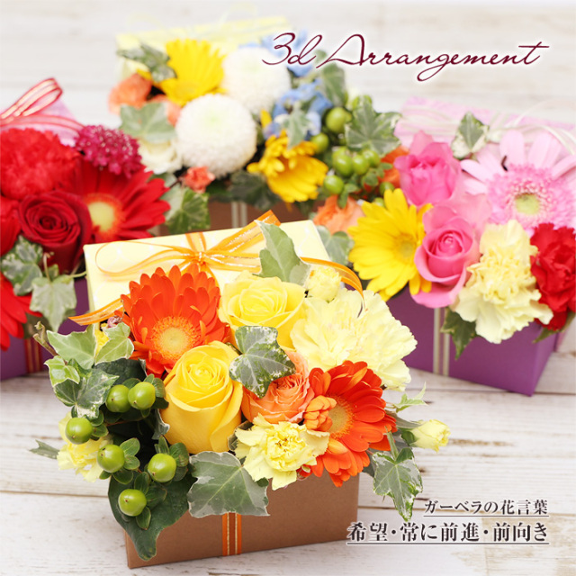 生花】飛び出すフラワーボックス3Dアレンジメント～ガーベラの花言葉は