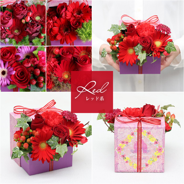 生花】飛び出すフラワーボックス3Dアレンジメント～ガーベラの花言葉は