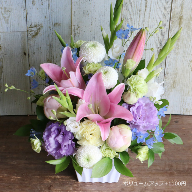 ボリュームアップ