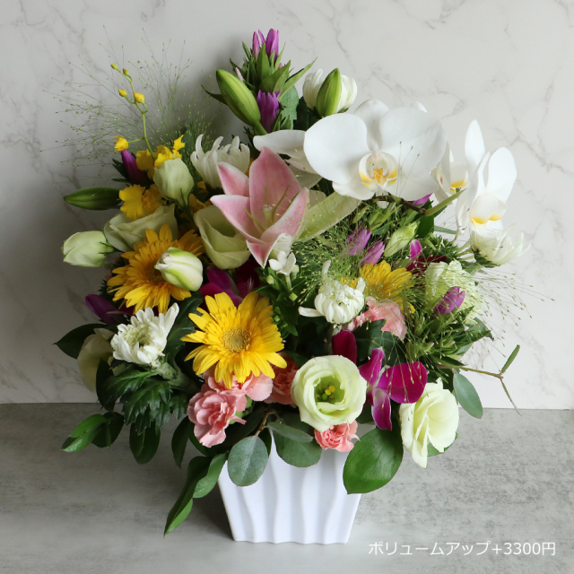 ボリュームアップ