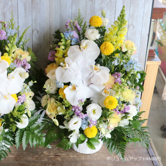 ボリュームアップ