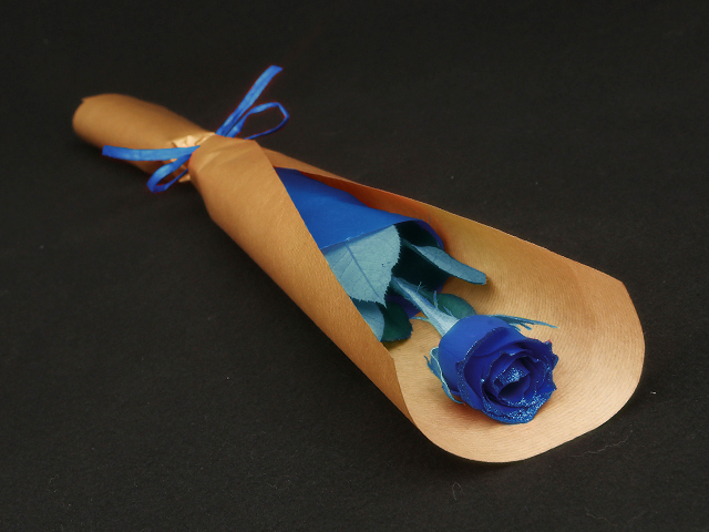 １本の青い煌薔薇の花束〜きらきら輝くバラの宝石（花言葉カード付き） 【プロポーズ・誕生日・結婚記念日・母の日・卒園入園祝い・卒業入学祝い・退任退職祝い・出産祝い・長寿祝いにおすすめ】【送料一律1800円（※一部地域を除く）】
