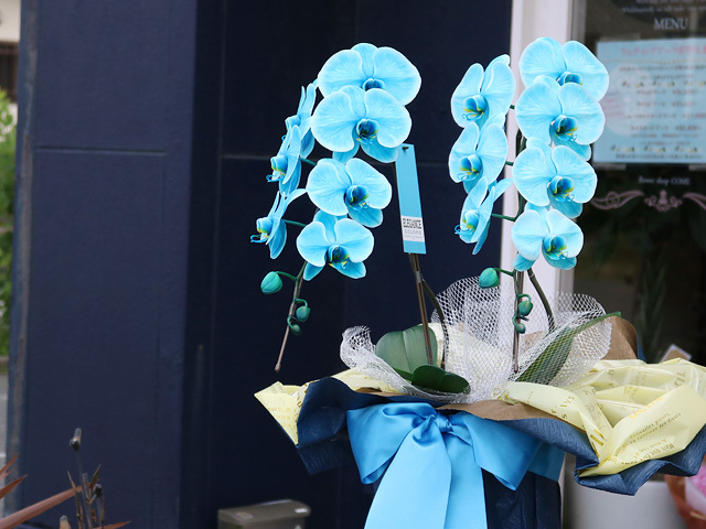 No27 ホワイト＆ブルー 爽やかマリンカラーフラワーガーランド⸜❤︎⸝‍ No27 ホワイト＆ブルー 爽やかマリンカラーフラワーガーランド