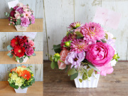 【生花】おまかせアレンジメント（M）【デザイナーズコレクション】誕生日・結婚記念日・母の日・卒園入園祝い・卒業入学祝い・退任退職祝い・出産祝い・発表会・長寿祝いにおすすめ【送料一律880円（※一部地域を除く）】