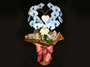 【お届け地域限定】ハート型の青い胡蝶蘭（ブルーエレガンス）［二本立ち］松浦園芸【送料無料】就任・開店・開院のお祝い・誕生日・長寿祝い・お供えなどの贈り物におすすめのフラワーギフト