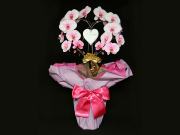 【お届け地域限定】ハート型のピンクの胡蝶蘭（ピンクエレガンス）［二本立ち］松浦園芸【送料無料】就任・開店・開院のお祝い・誕生日・長寿祝い・お供えなどの贈り物におすすめのフラワーギフト