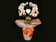 【お届け地域限定】ハート型のオレンジの胡蝶蘭（オレンジエレガンス）［二本立ち］松浦園芸【送料無料】就任・開店・開院のお祝い・誕生日・長寿祝い・お供えなどの贈り物におすすめのフラワーギフト