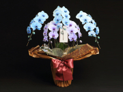 青と紫の胡蝶蘭（極上エレガンス）［５本立ち］松浦園芸【送料無料】｜就任・開店・開院のお祝い・誕生日・長寿祝い・お供えなどの贈り物におすすめのフラワーギフト