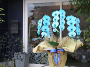 マリンエレガンス