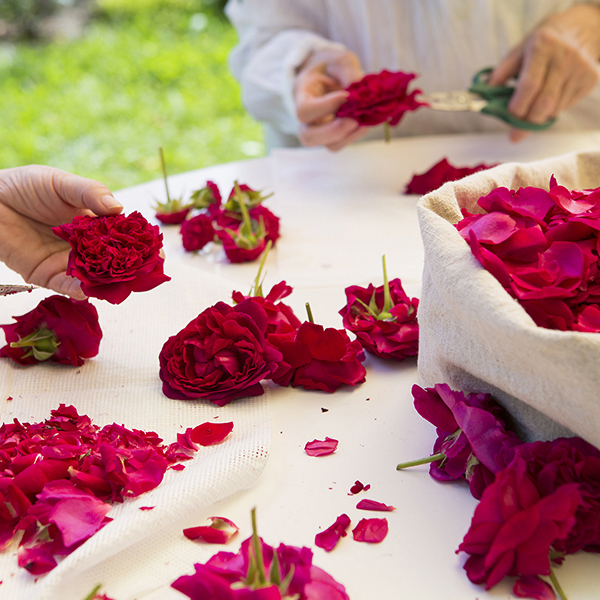 りんこ様専用ヴォーグ体験会用転写紙20枚セット ブーケ&桜&B