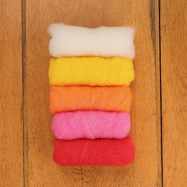 えこりんウール5色パック おひさまの詩<えこりん村羊毛クラフト＞