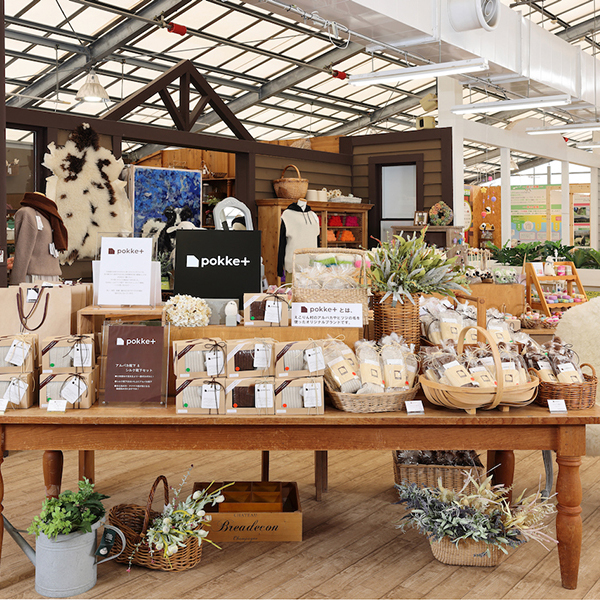 アルパカかのこソックスアイボリー&シルクの靴下セット〈pokke+〉 アルパカかのこソックスアイボリー&シルクの靴下セット〈pokke+〉