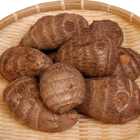 坂井の里芋　１Ｋｇ