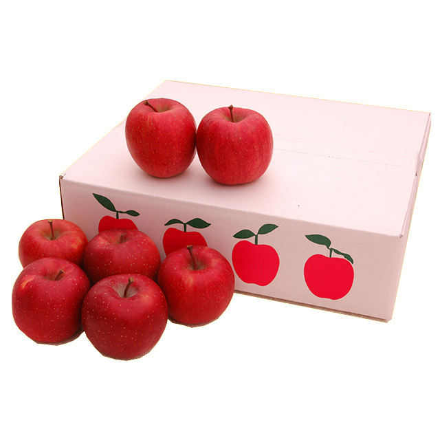 信州立科ふじりんご　5kg　【限定80箱】