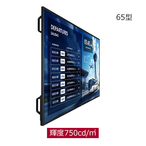 65BDL6017P/11