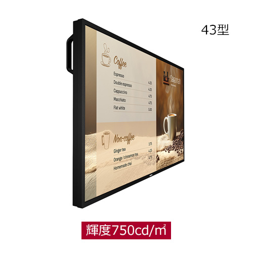 43BDL6017P/11