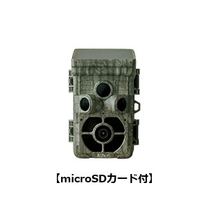 AT-2 キャロットシステムズ 乾電池・ソーラーバッテリー センサーカメラ