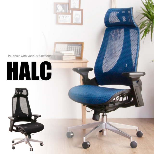 オフィスチェア メッシュバックチェア オフィスチェア 在宅ワーク 在宅 メッシュチェア デスクチェア パソコンチェア メッシュ 事務椅子 いす / イス チェア オフィス 勉強 デスクワーク オフィスチェア 在宅ワーク 在宅勤務 送料無料 通販 das-0086