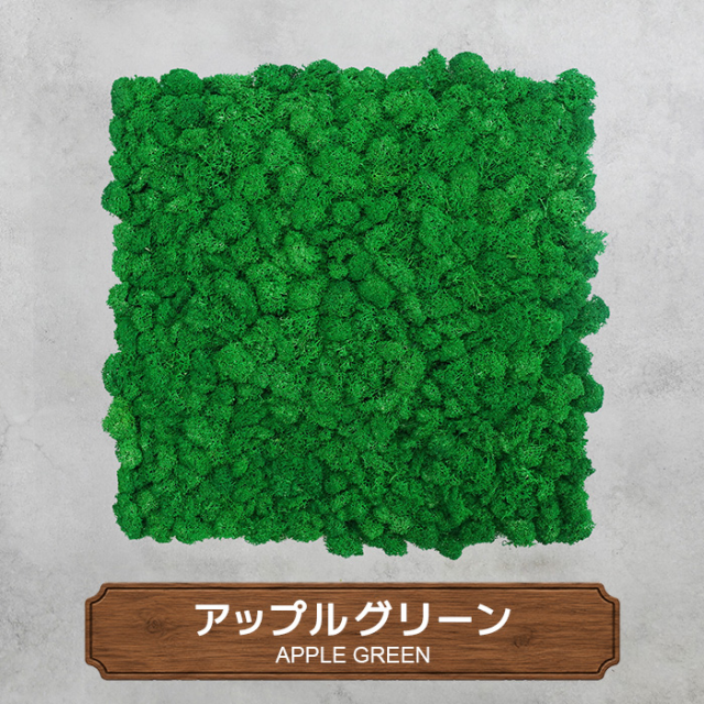モスパネル