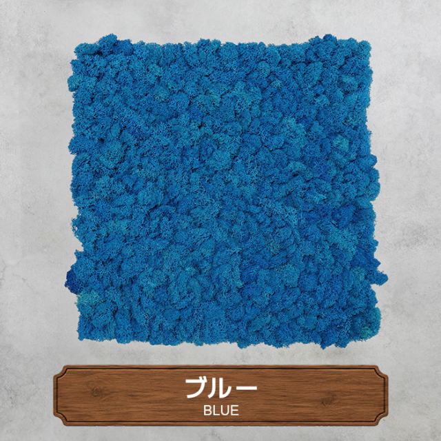 モスパネル