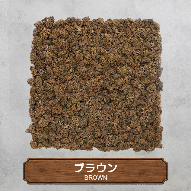 モスパネル