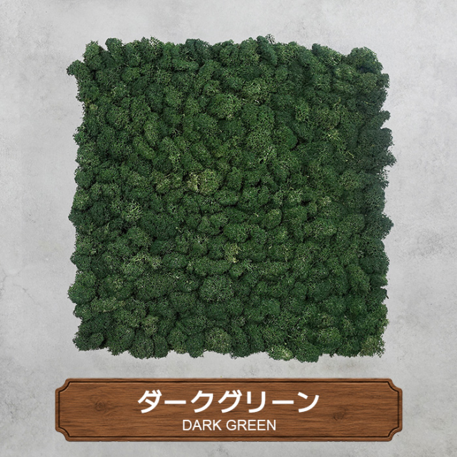 モスパネル