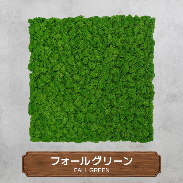 モスパネル