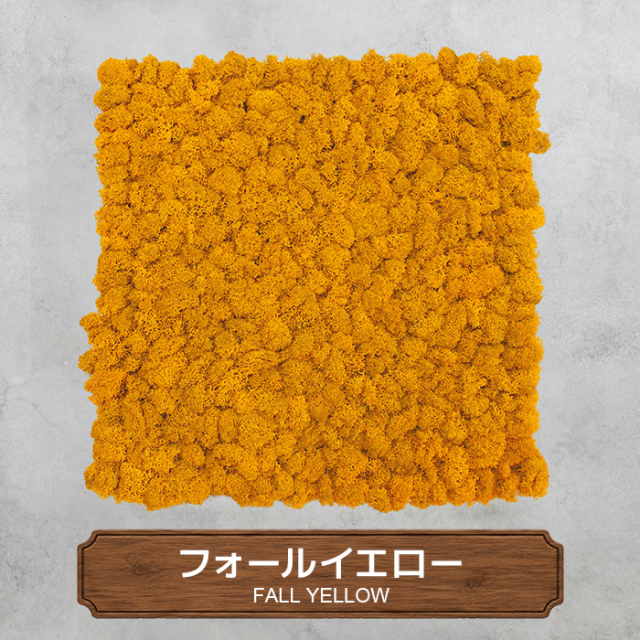 モスパネル