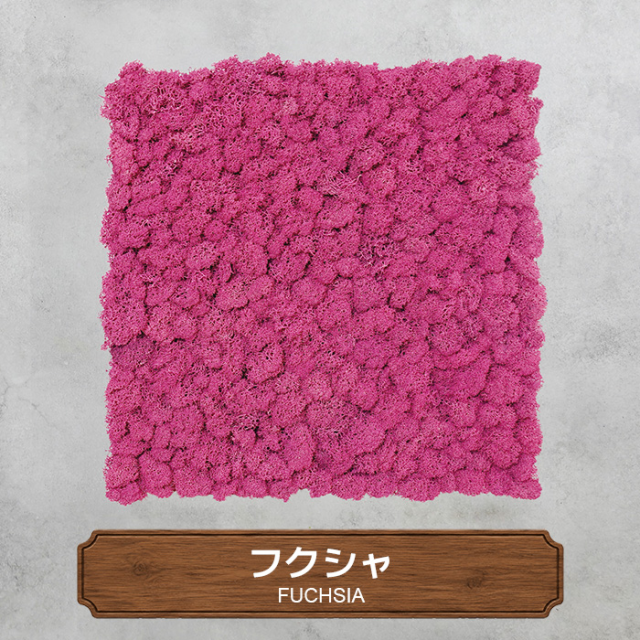 モスパネル