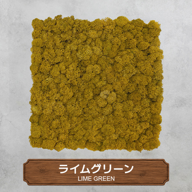 モスパネル