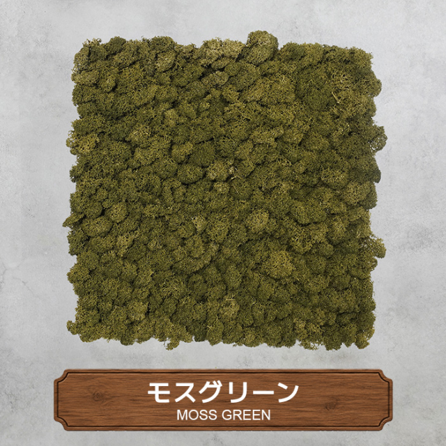モスパネル