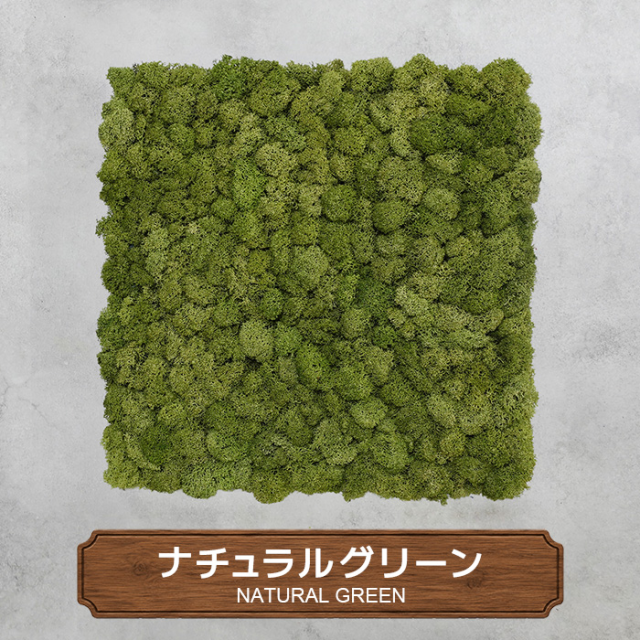モスパネル