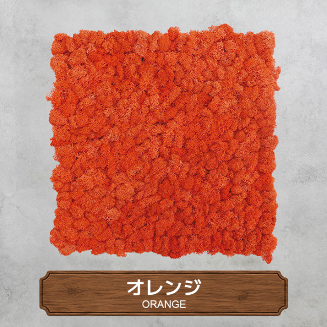 モスパネル